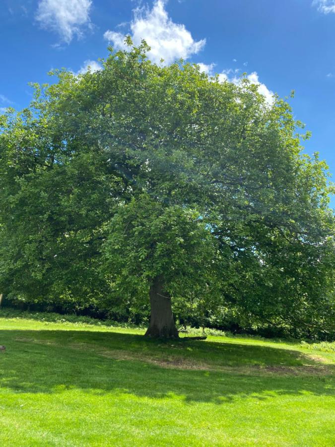 Black Mountains Glamping Hotel Abergavenny Bagian luar foto